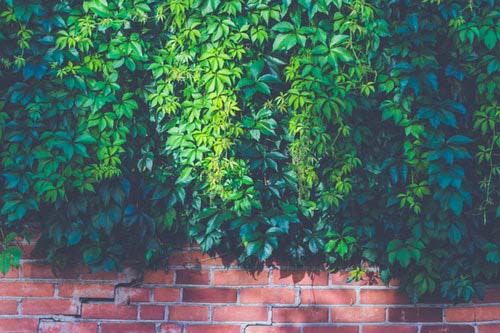 bedford-landscape-drainage-brick-wall